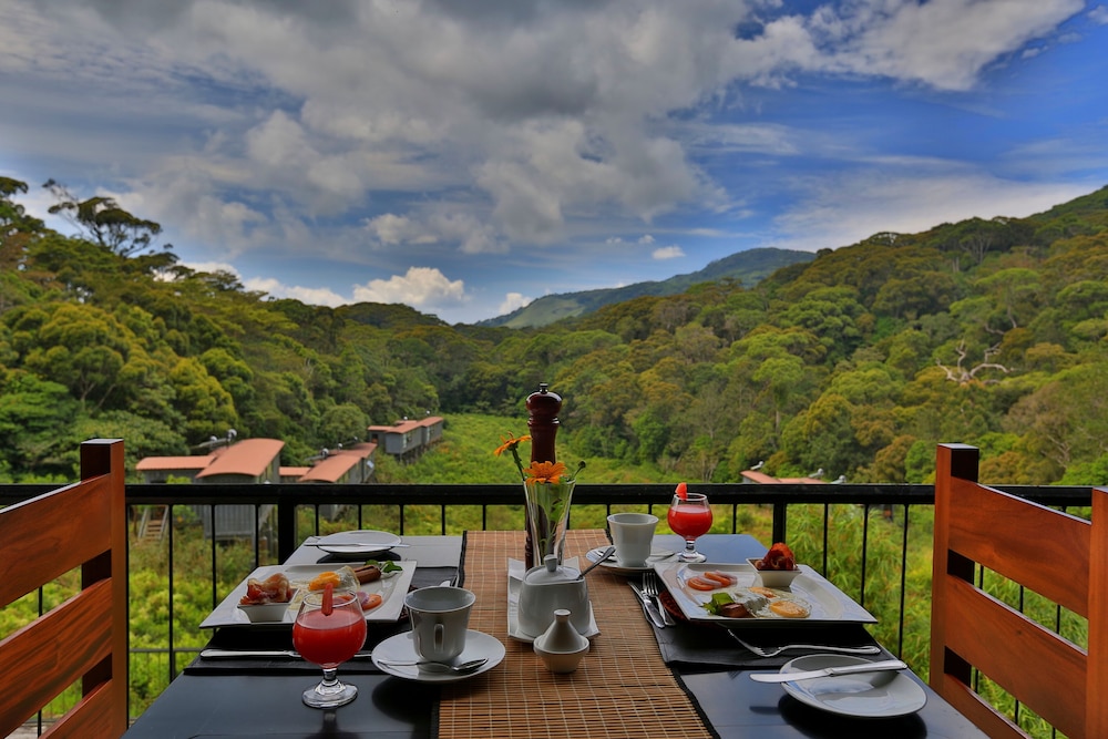 The Rainforest Ecolodge