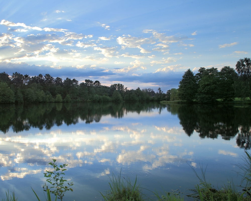 Domaine de la Trigalière
