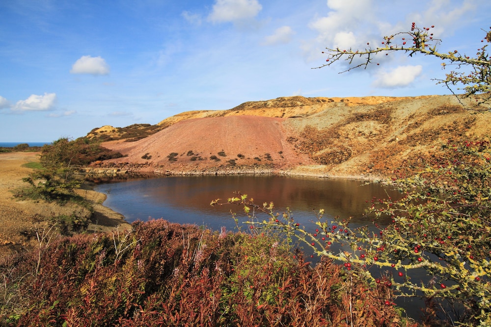 Tregynrig Bach
