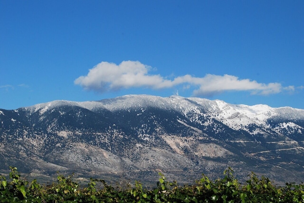Photo 40