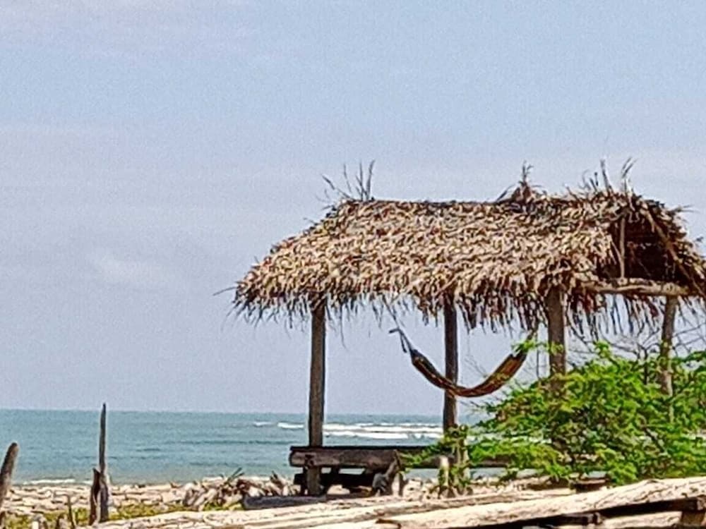 Tambo Marina Ecohostal - Hostel