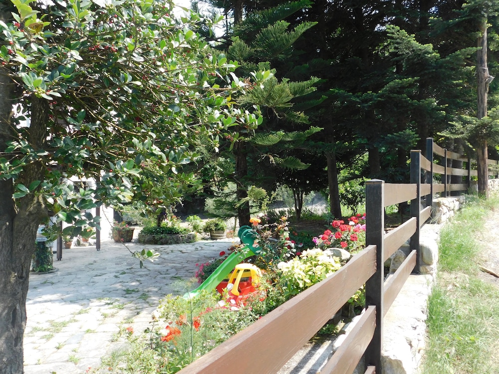 Photo 48