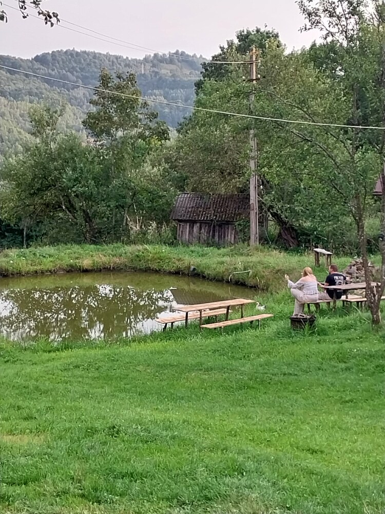 Photo 43