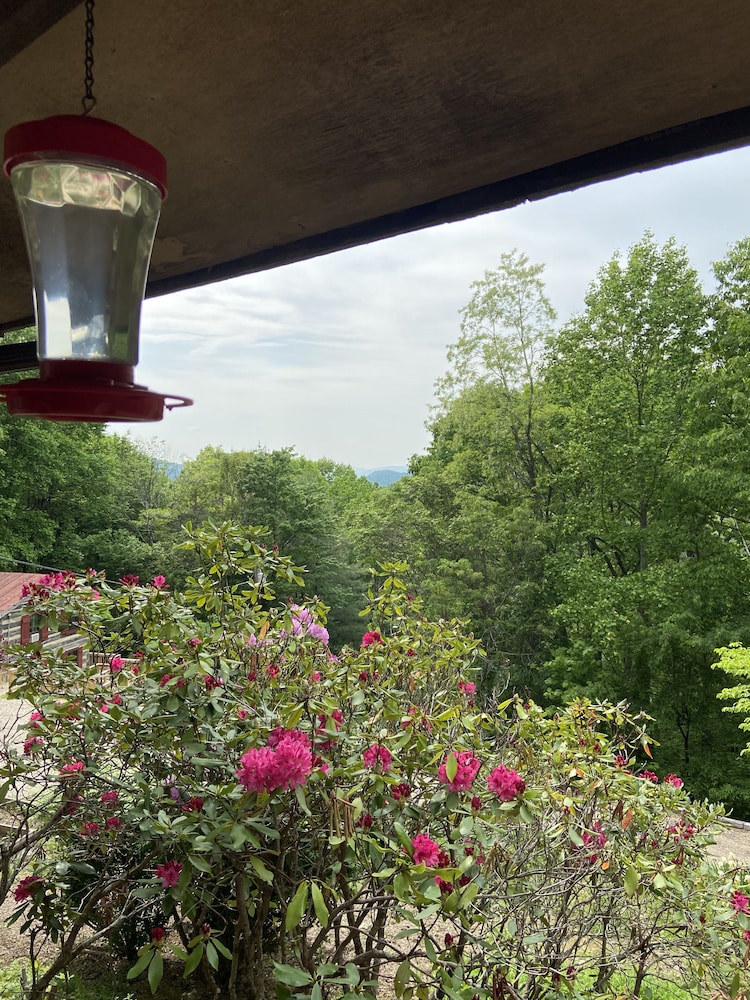 Sugar Tree Inn