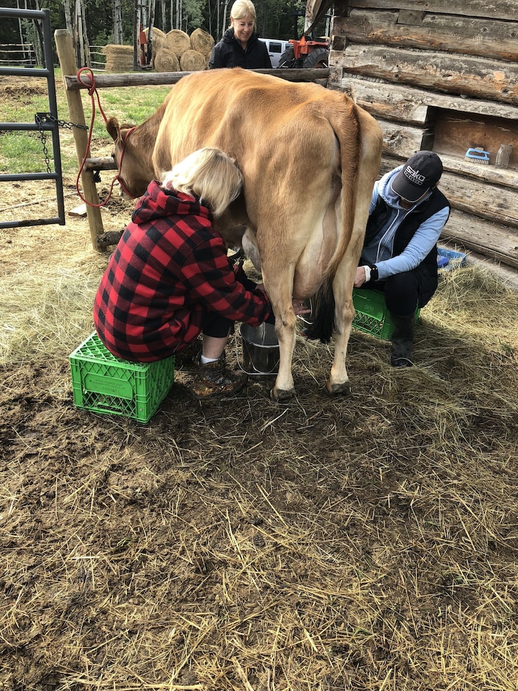 Montana Hill Guest Ranch