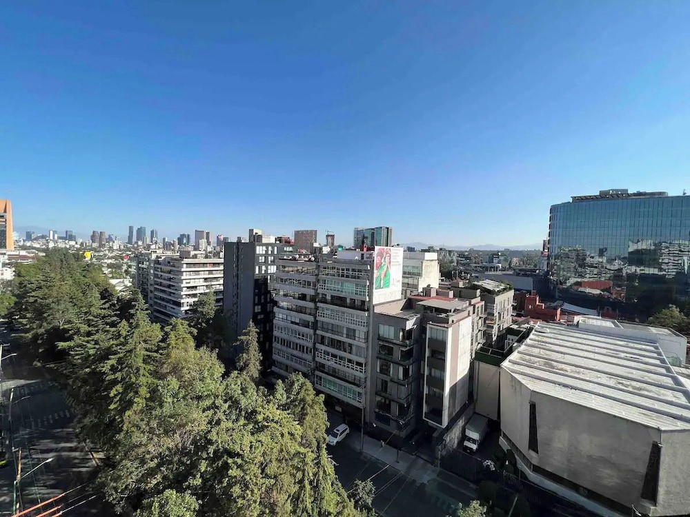 Posh Polanco Apts with Tv and Desk photo 4