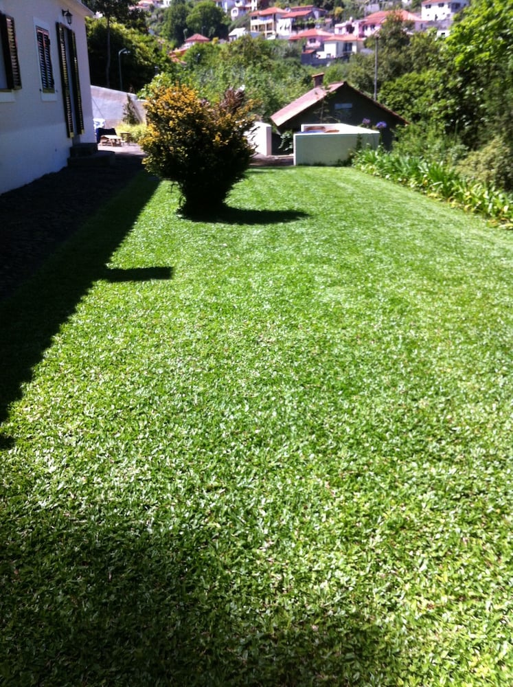 Photo 37