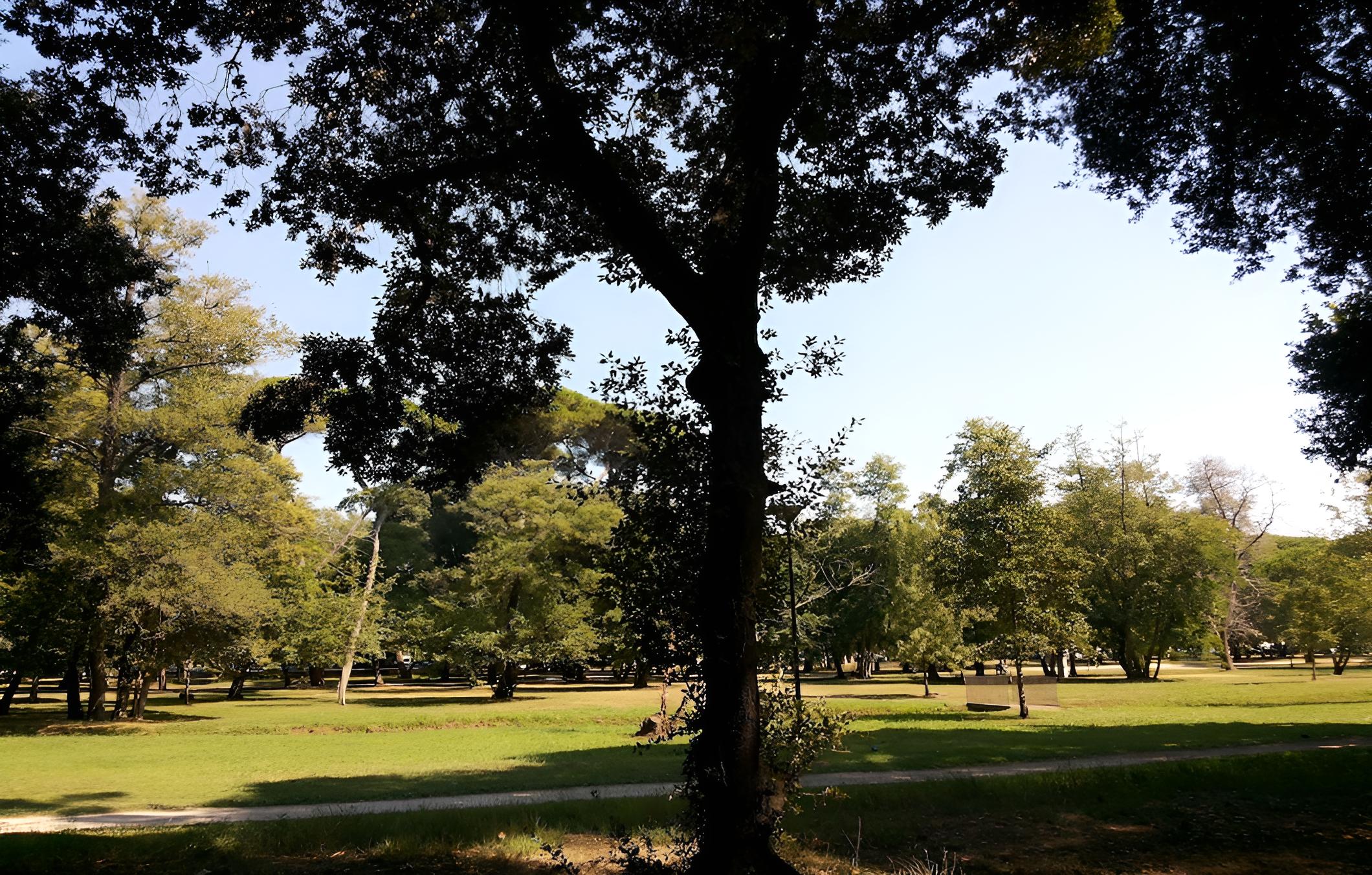 Photo 42