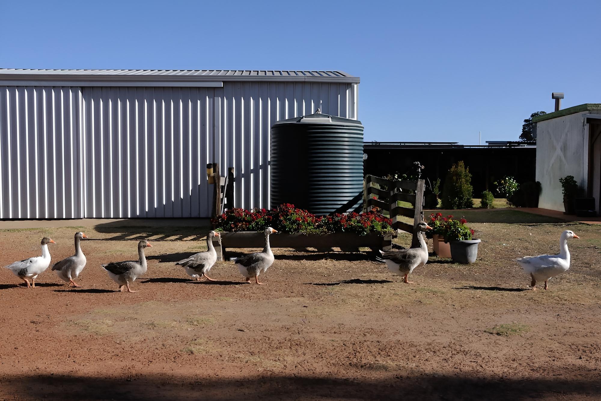 Wilga Farm Stay