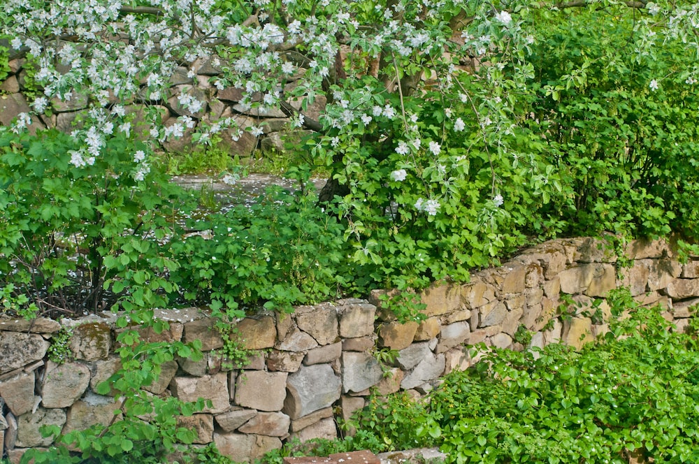 Photo 40