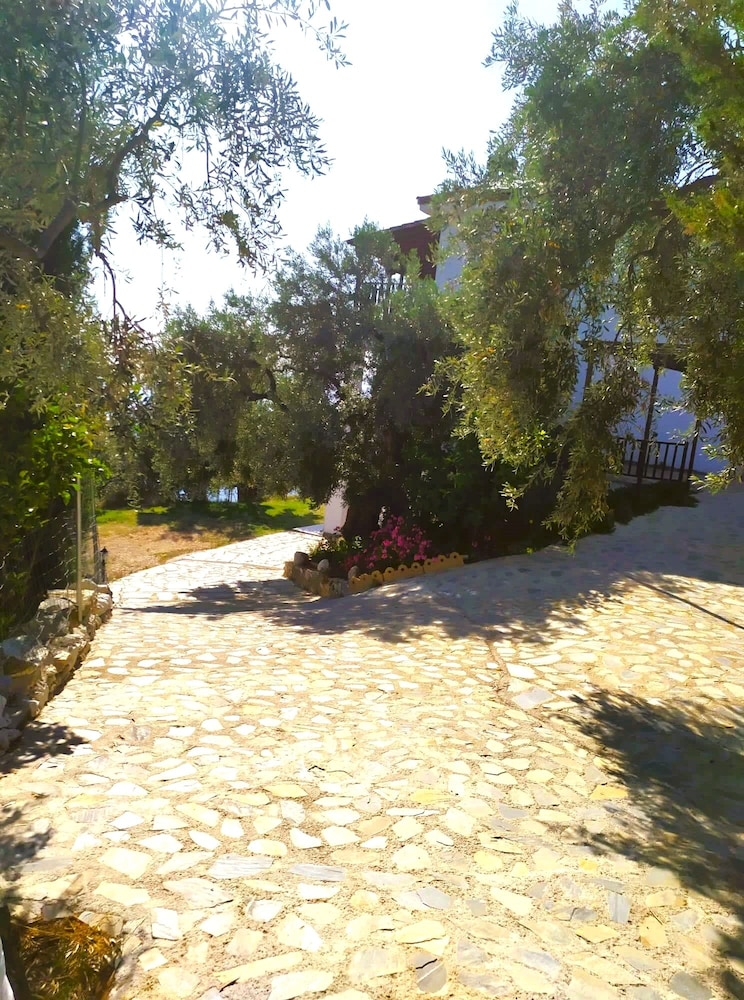 Photo 12