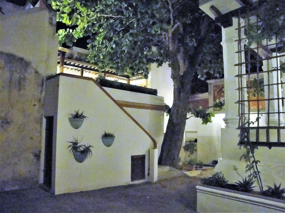 Jardim dos Aloés - Unique B&B, photo 28
