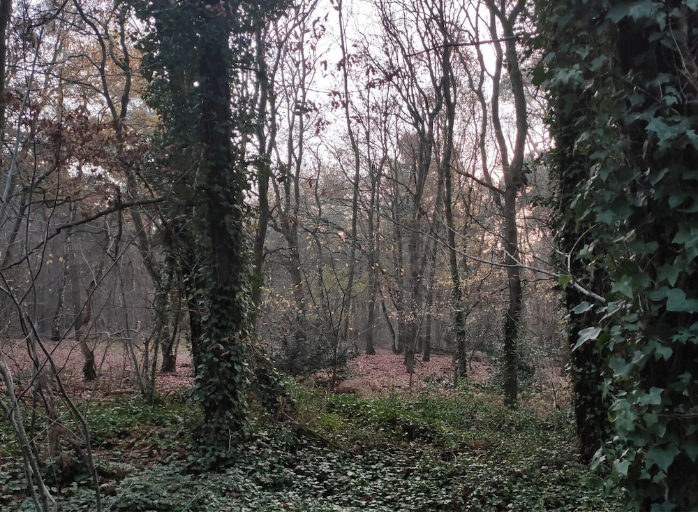 Photo 20
