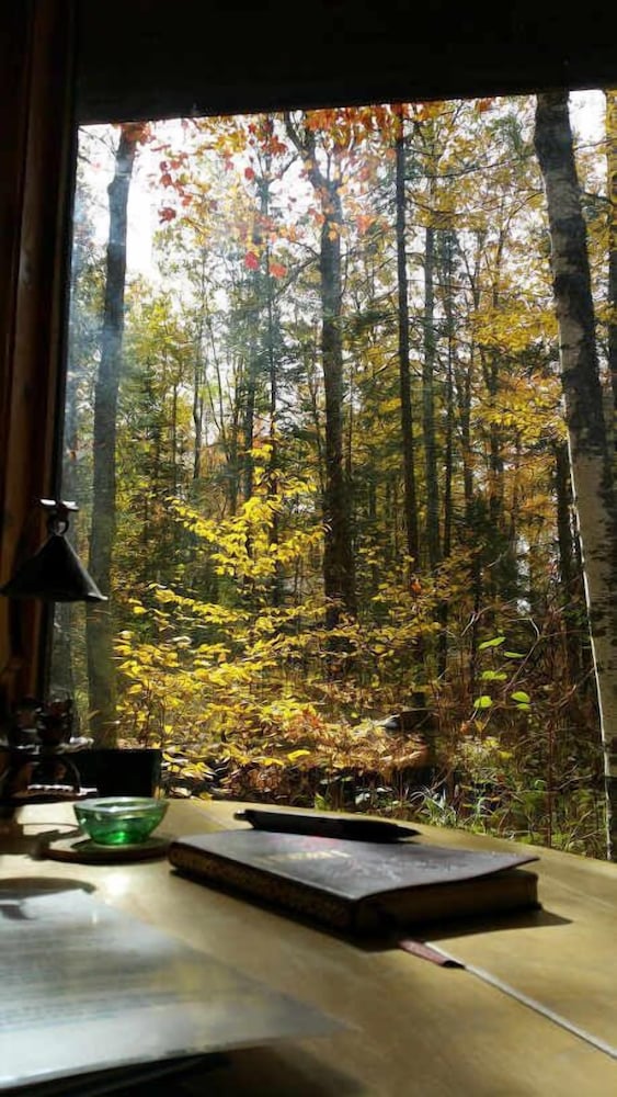 Shire In The Woods