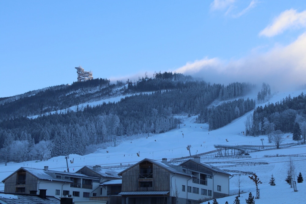 Villa in Dolni Morava Near Ski Slopes