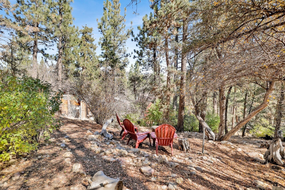 The Wilkie Cabin #339