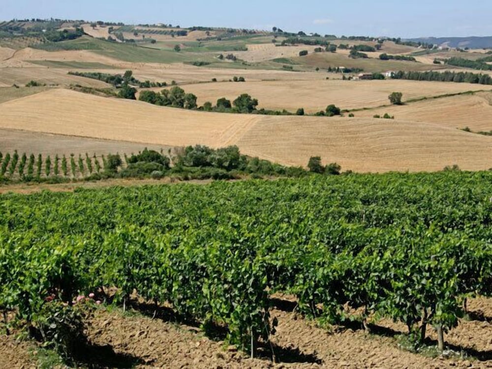 Azienda Agricola Parmoleto