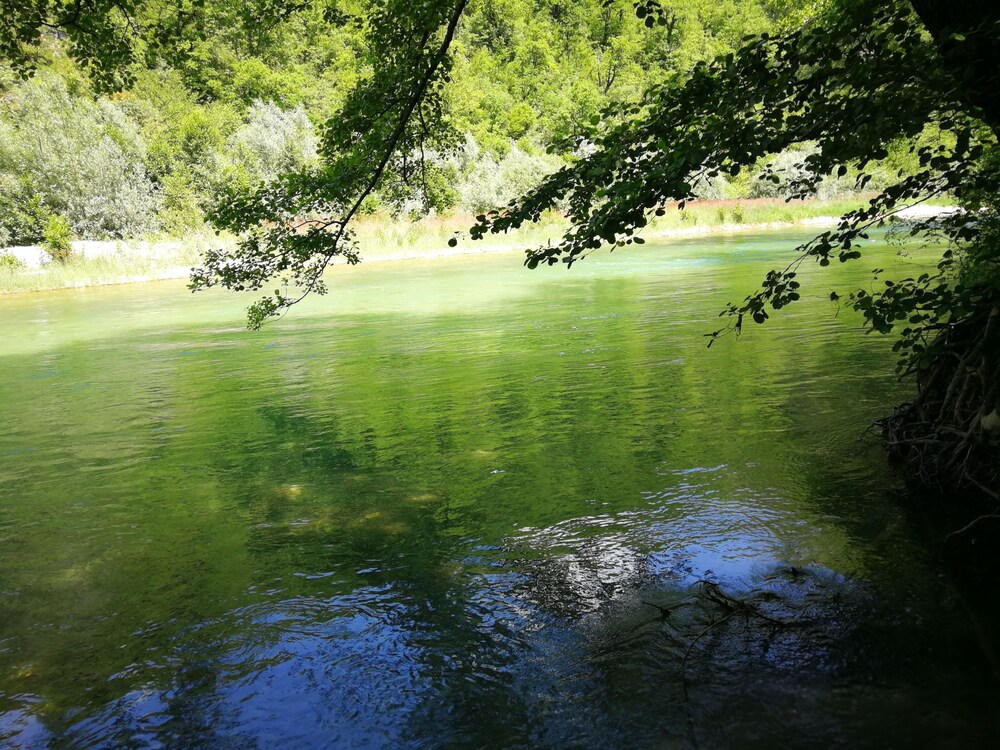 Photo 36