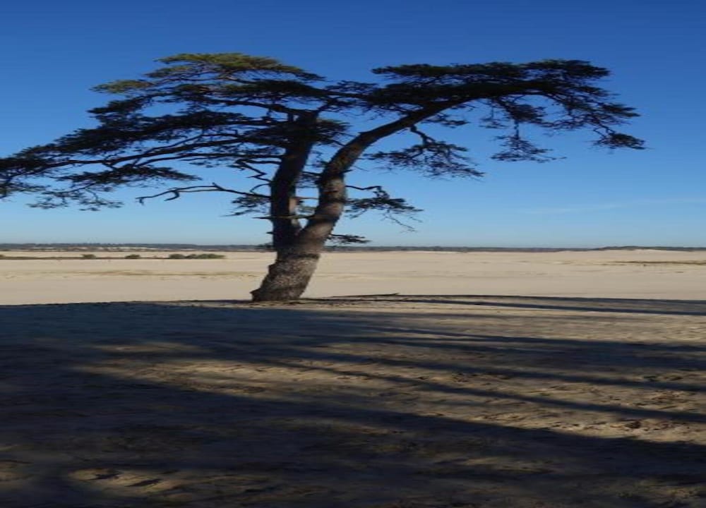 Photo 31