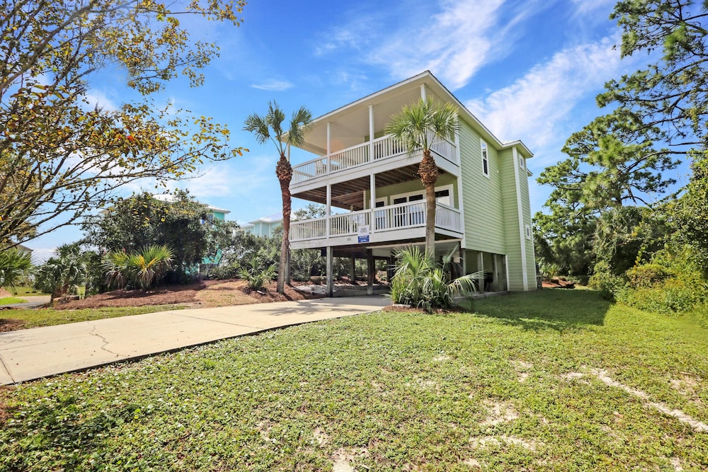 Cape Palms
