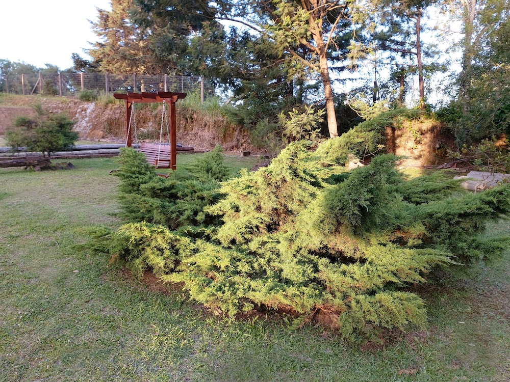 Photo 26