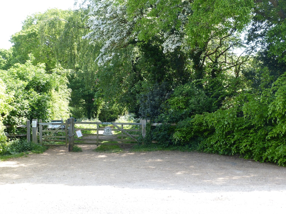 Photo 33