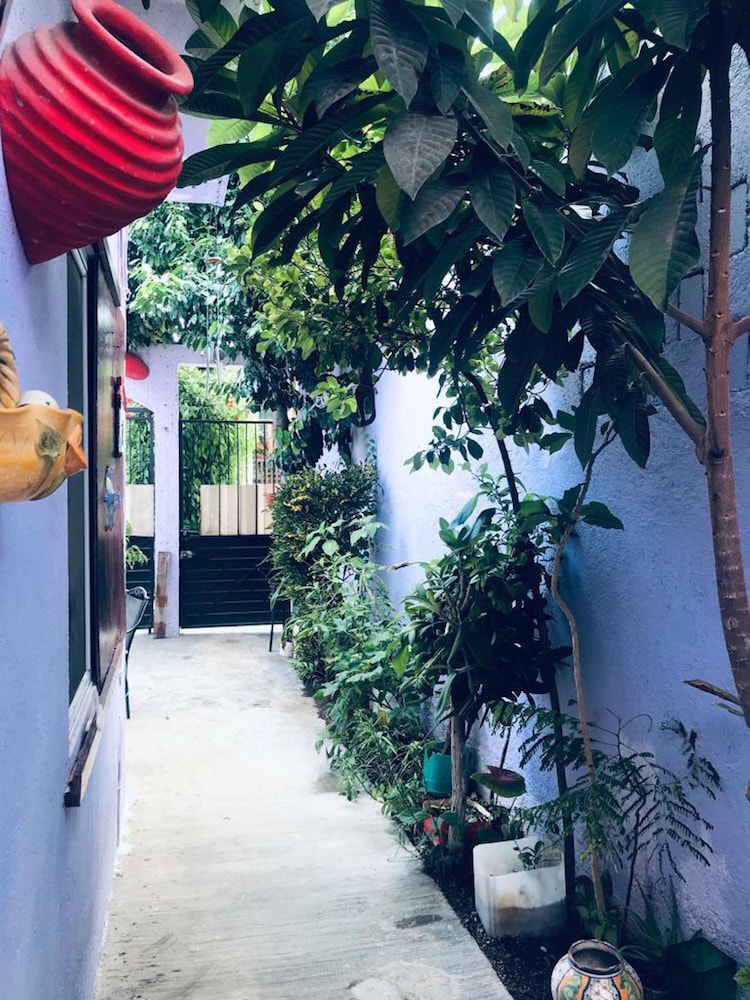 Kaya Hostal Apartments - Hostel - Property Image 24