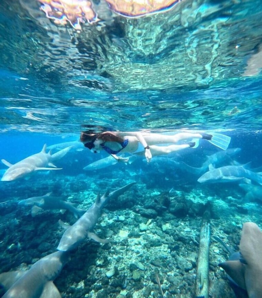 Bibee Maldives