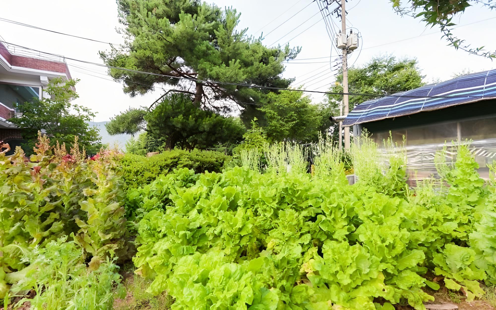Yeoju Hana Pension view 3