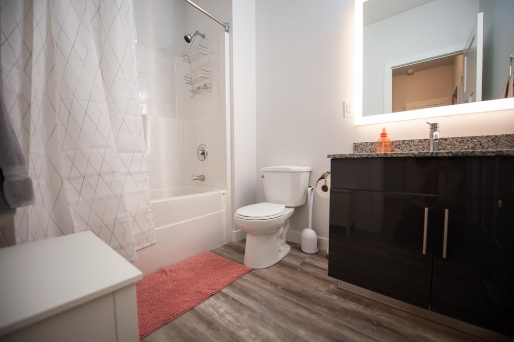 Upscale 2 Bedroom Townhouse Near Uofm IG Field - Image 3