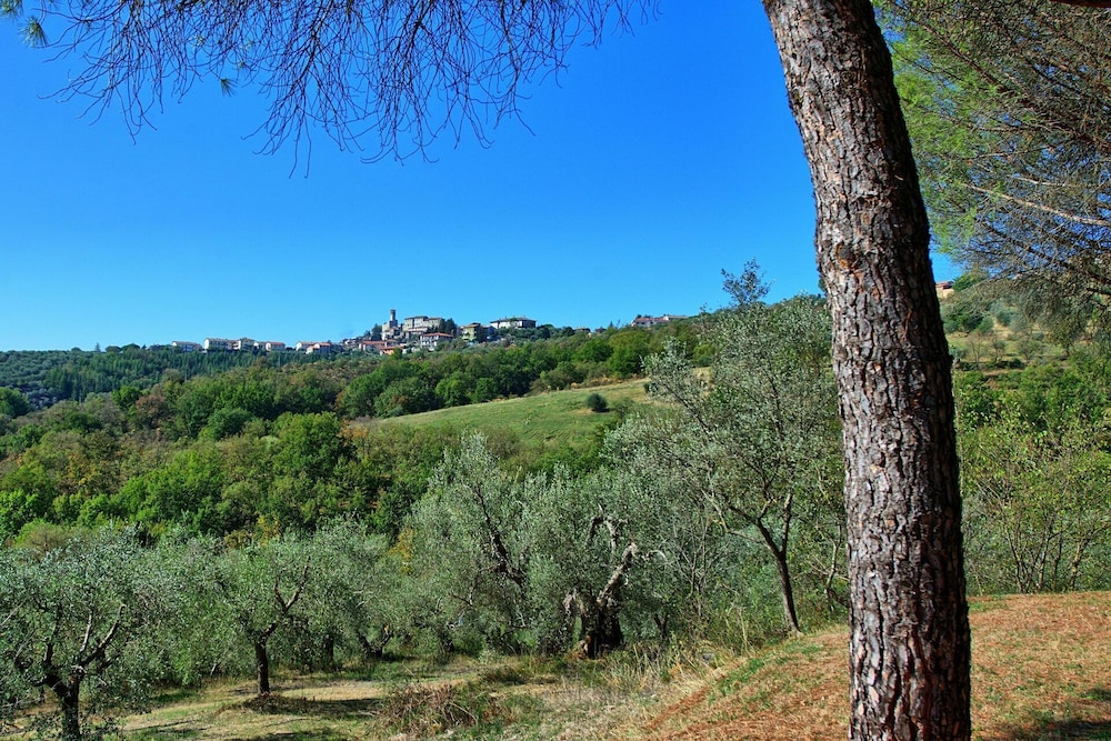 Uccellaia