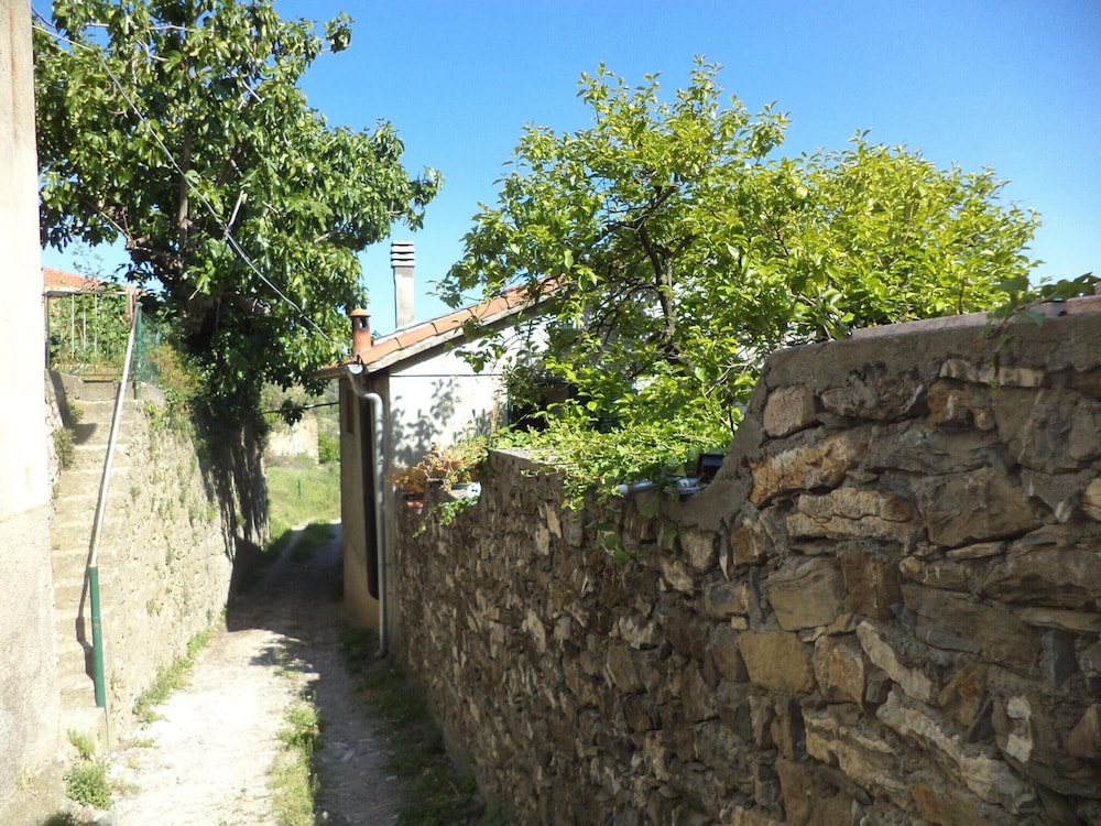 Photo 34