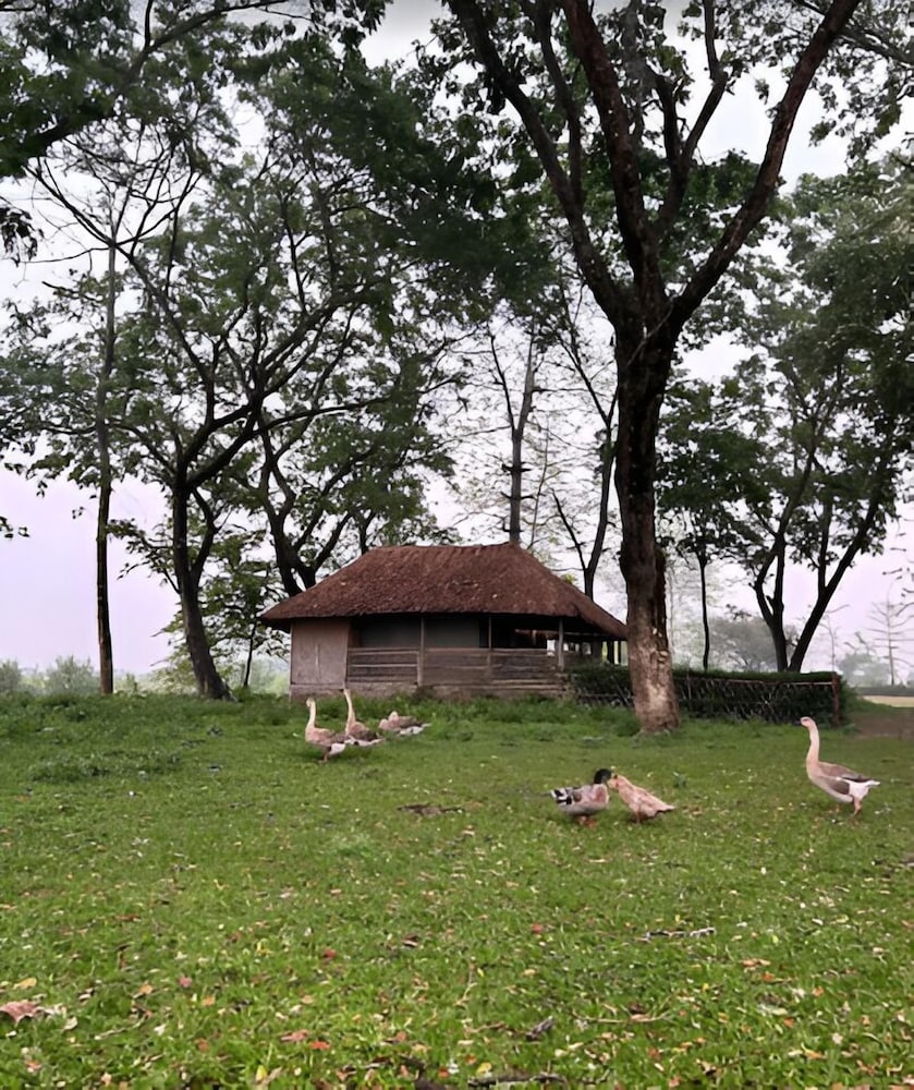 Dhansiri Eco Camp By GRB