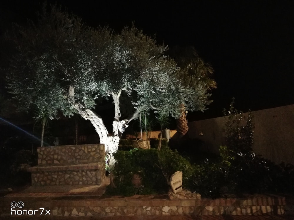 Photo 48