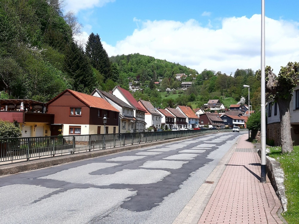 Photo 44