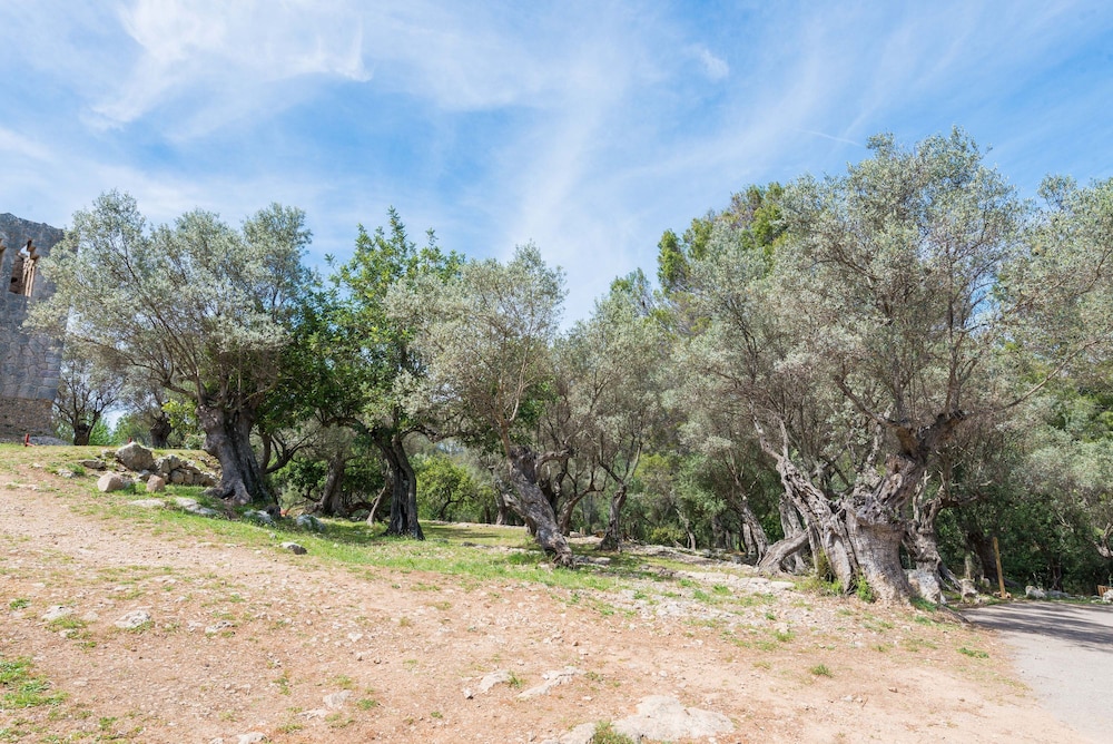 Sa Garriga De Can Barratot