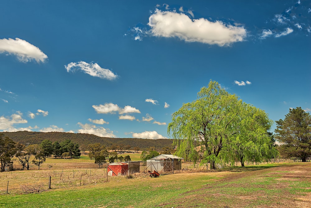 Bushmans Motor Inn