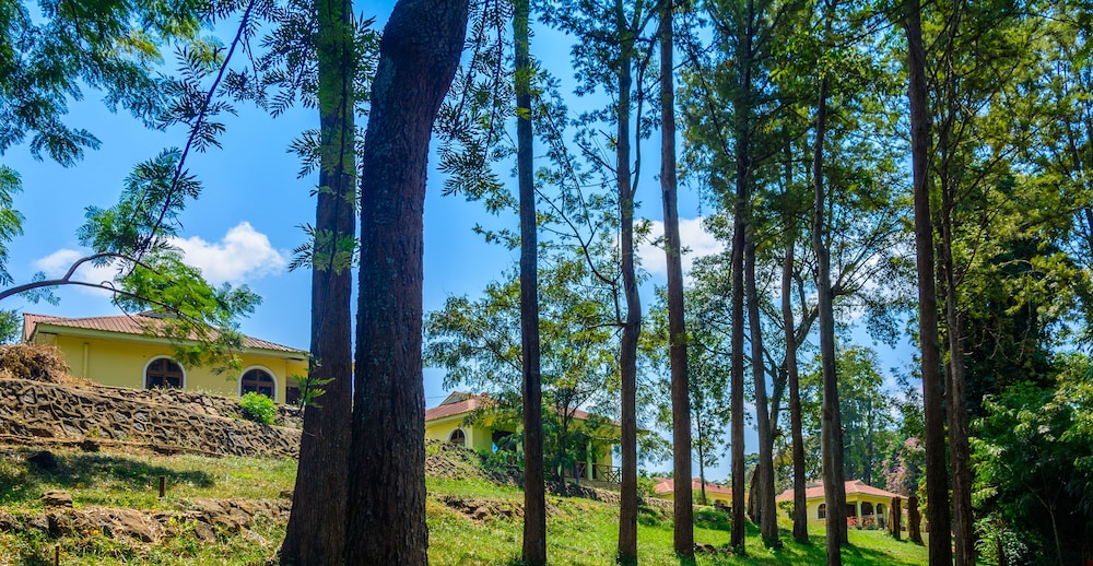 Weruweru Royal Resort