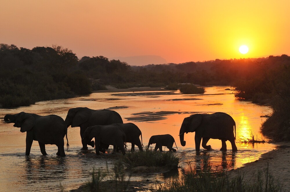 Inyati Game Lodge