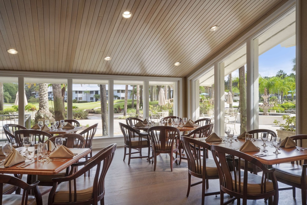 Saddlebrook Resort view 5