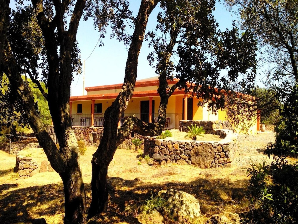 Photo 43
