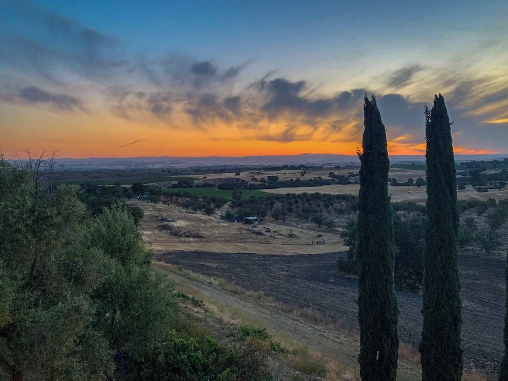 Hidden Acre Vineyard Estate