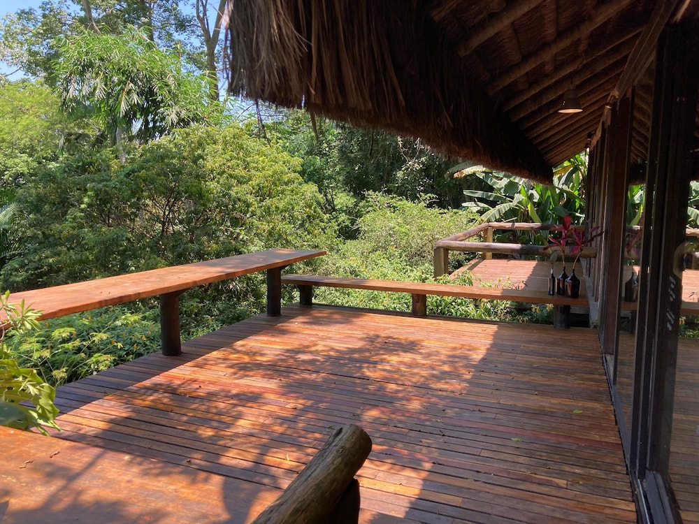 Rainforest Paradise