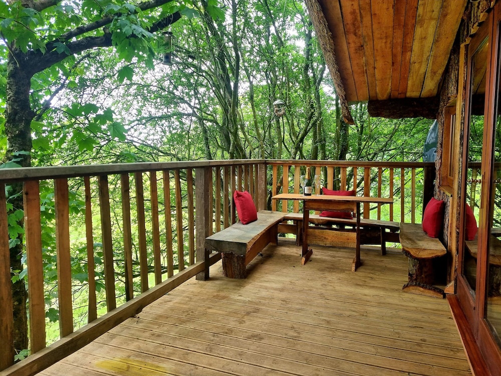 Tree House