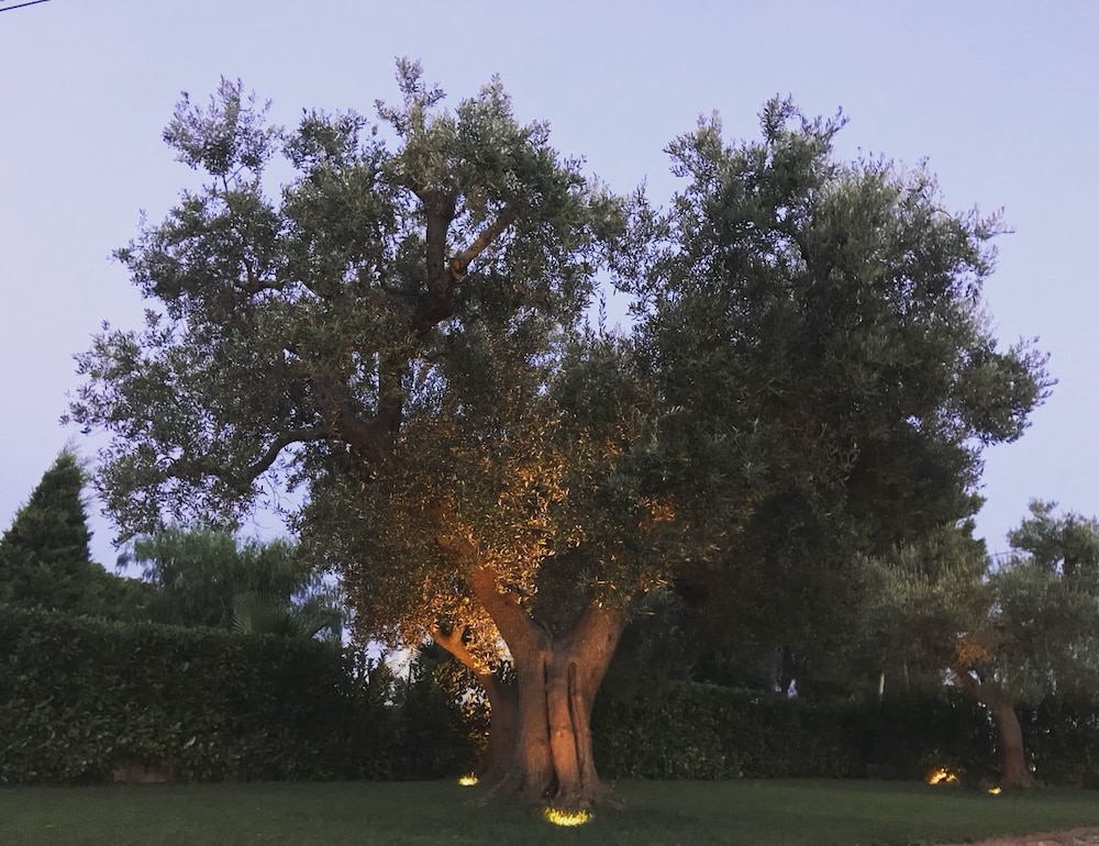 Bed&Breakfast Villa Mamma Grazia, photo 23