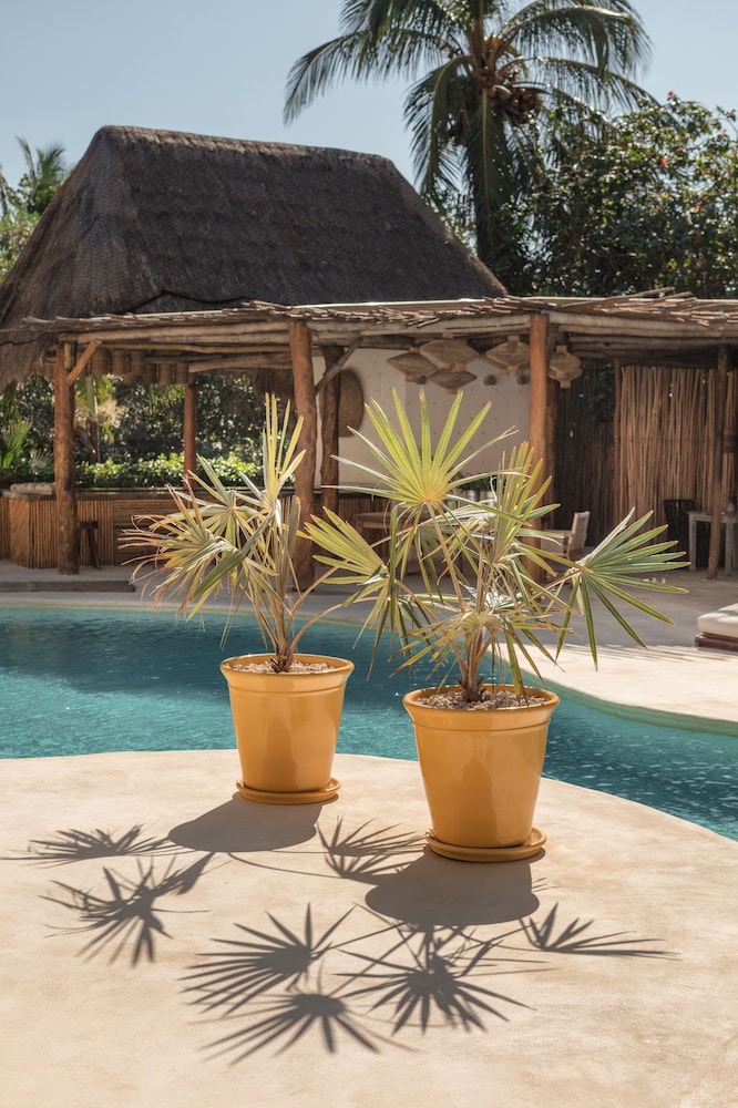 Isla Holbox Vacations - Ser Casasandra Boutique Hotel - Property Image 89