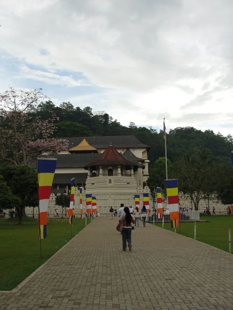 Photo 16