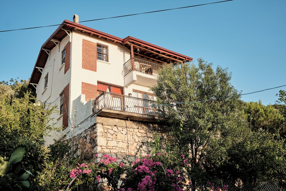 Kaktus Villa 2