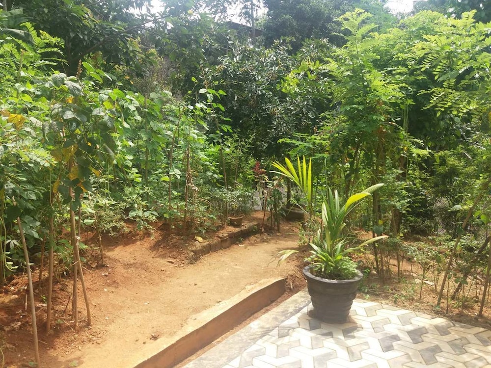 Miracle Villa