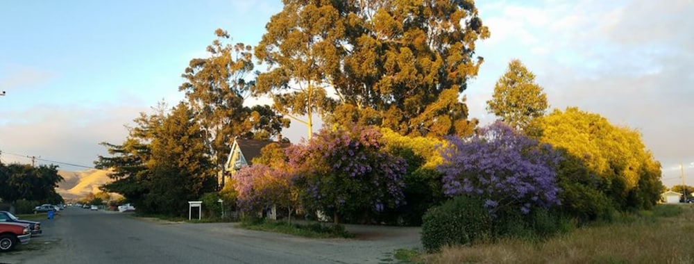 Photo 48